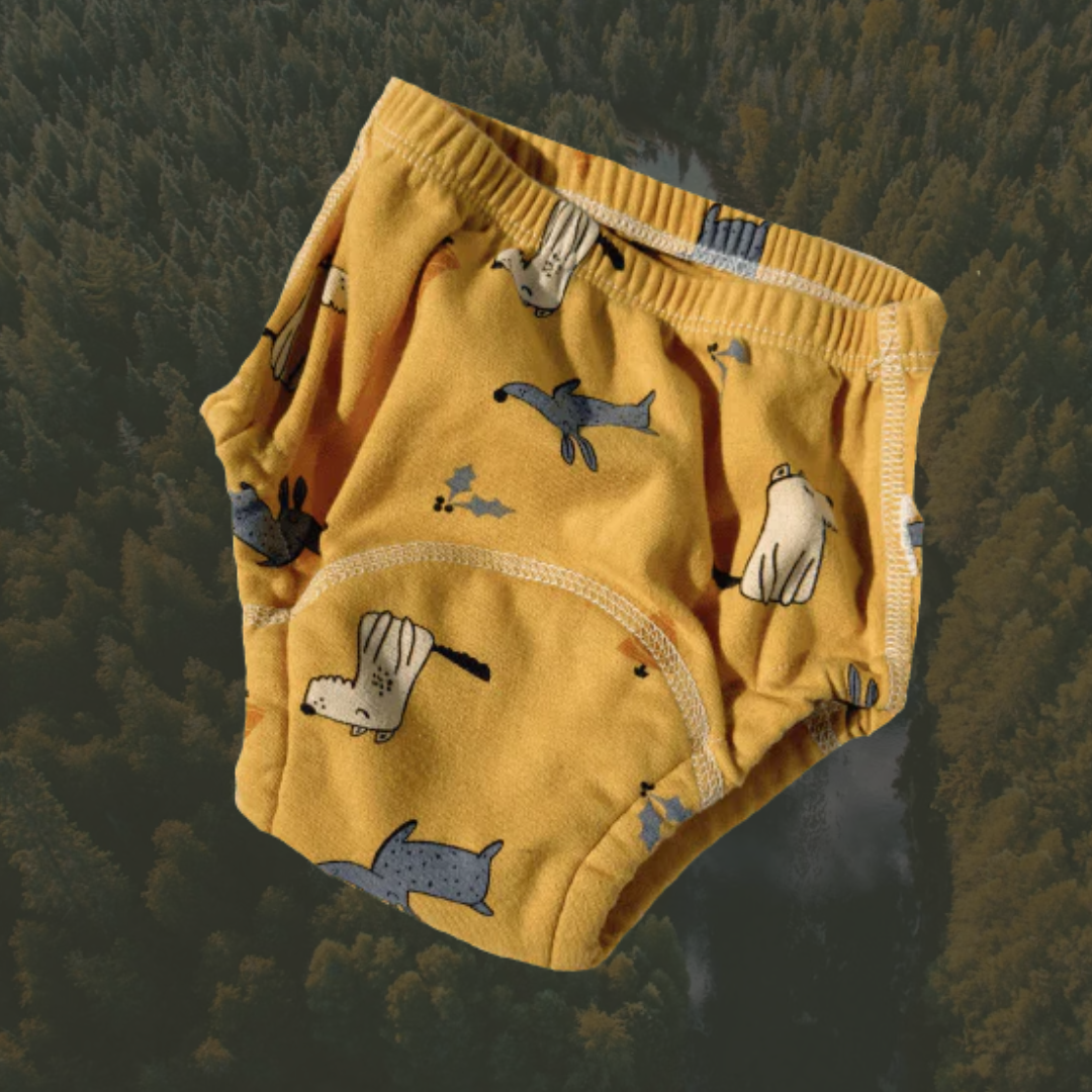 Potty Train Underwear