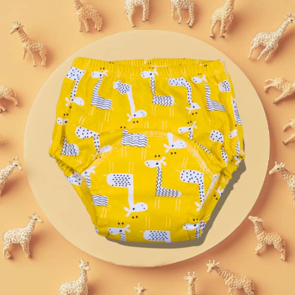 Potty Train Underwear