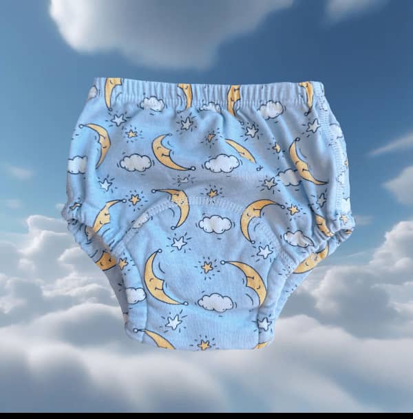 Potty Train Underwear
