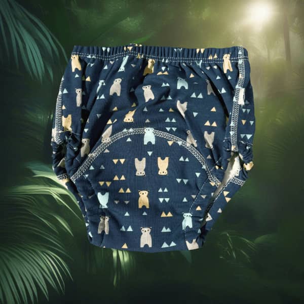 Potty Train Underwear