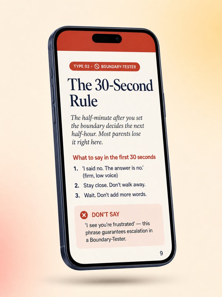 The Boundary-Tester chapter from inside The 5 Tantrum Types Playbook